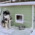 будка-для-маламута-с-окном-от-усадьба-мастеров-usadbamasterov.ru